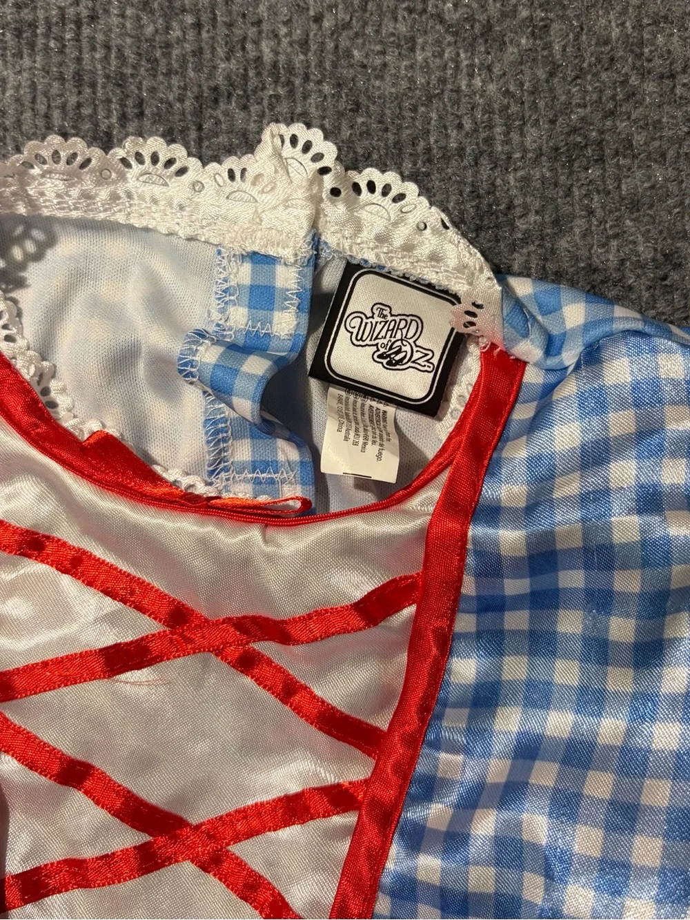Toddler Wizard of Oz Dorothy Classic Blue Gingham & Red Trim Kids Costume Dress